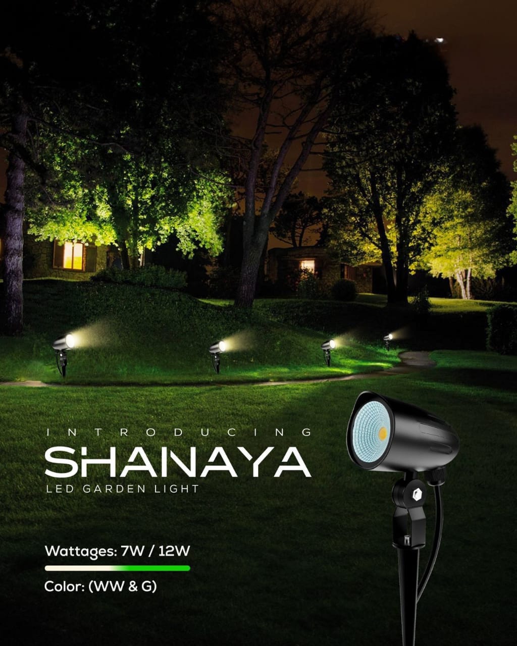 Shanaya Lights product image 1